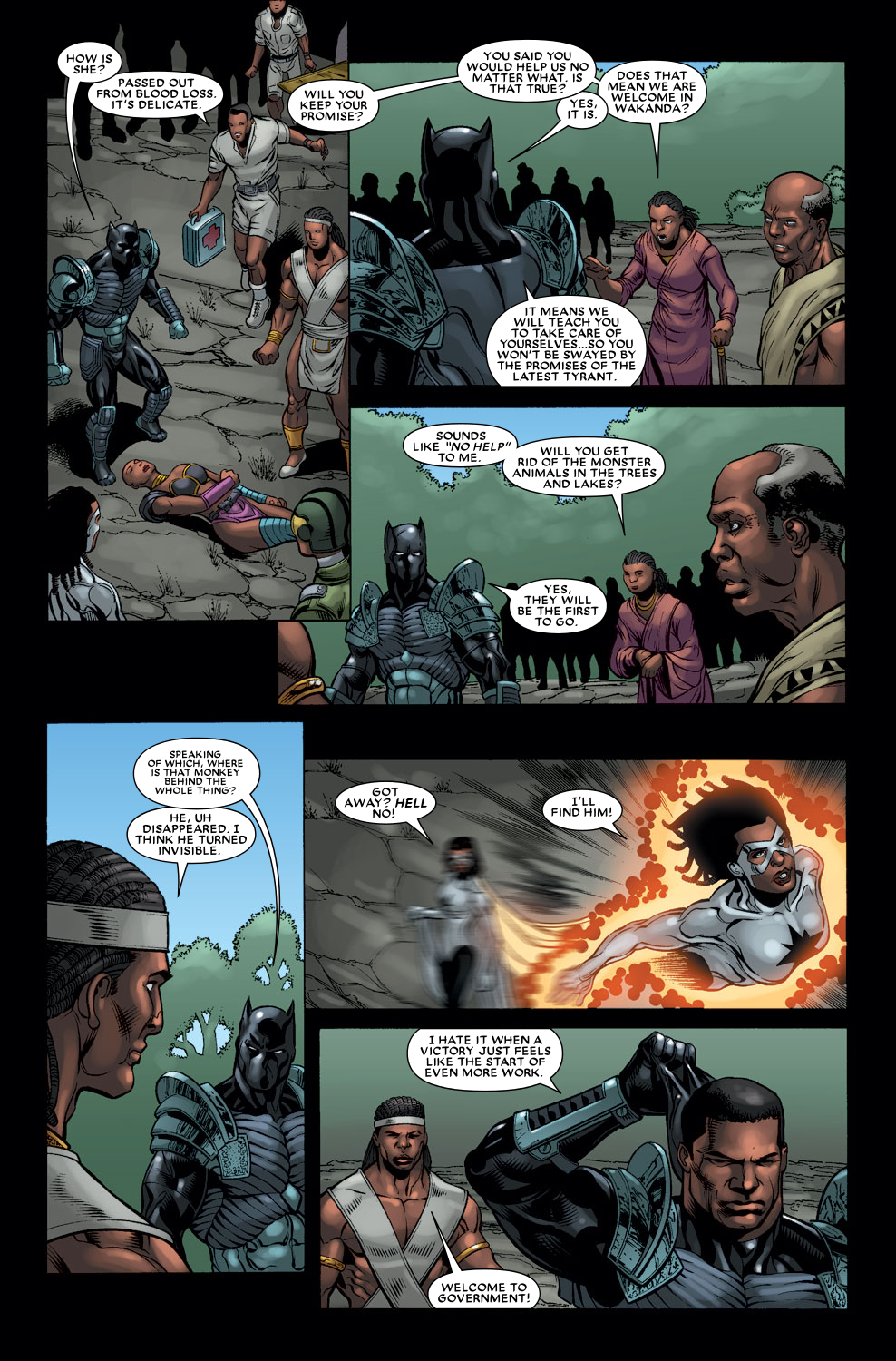 Read online Black Panther (2005) comic -  Issue #38 - 23