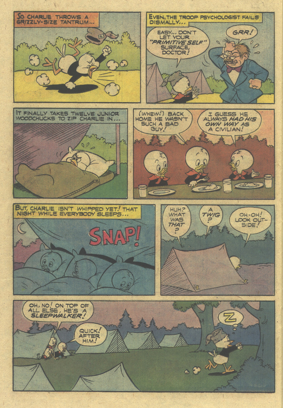 Read online Huey, Dewey, and Louie Junior Woodchucks comic -  Issue #39 - 22