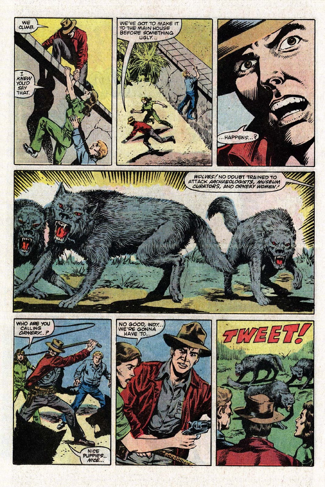The Further Adventures of Indiana Jones issue 20 - Page 15