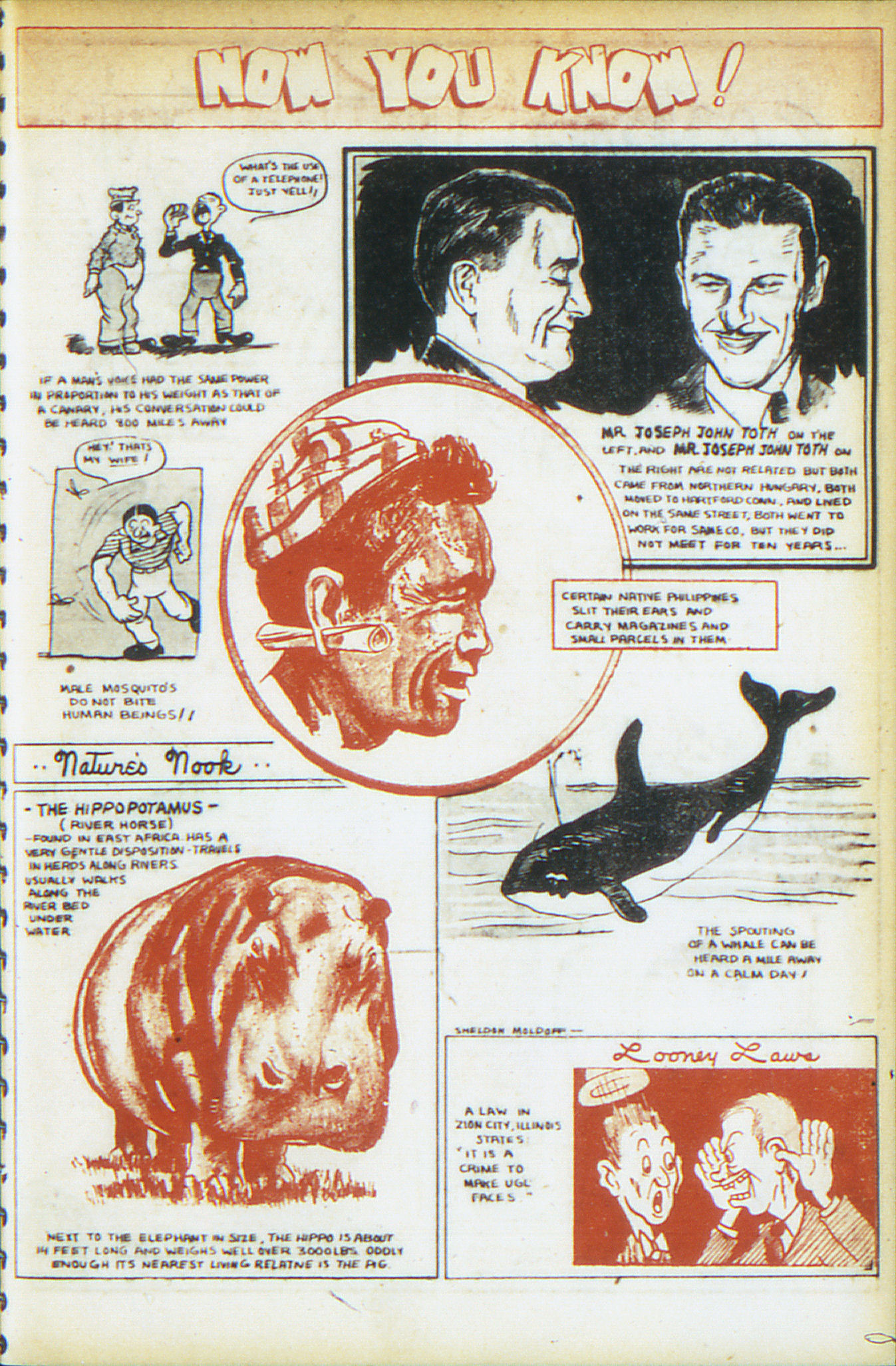 Read online Adventure Comics (1938) comic -  Issue #34 - 42