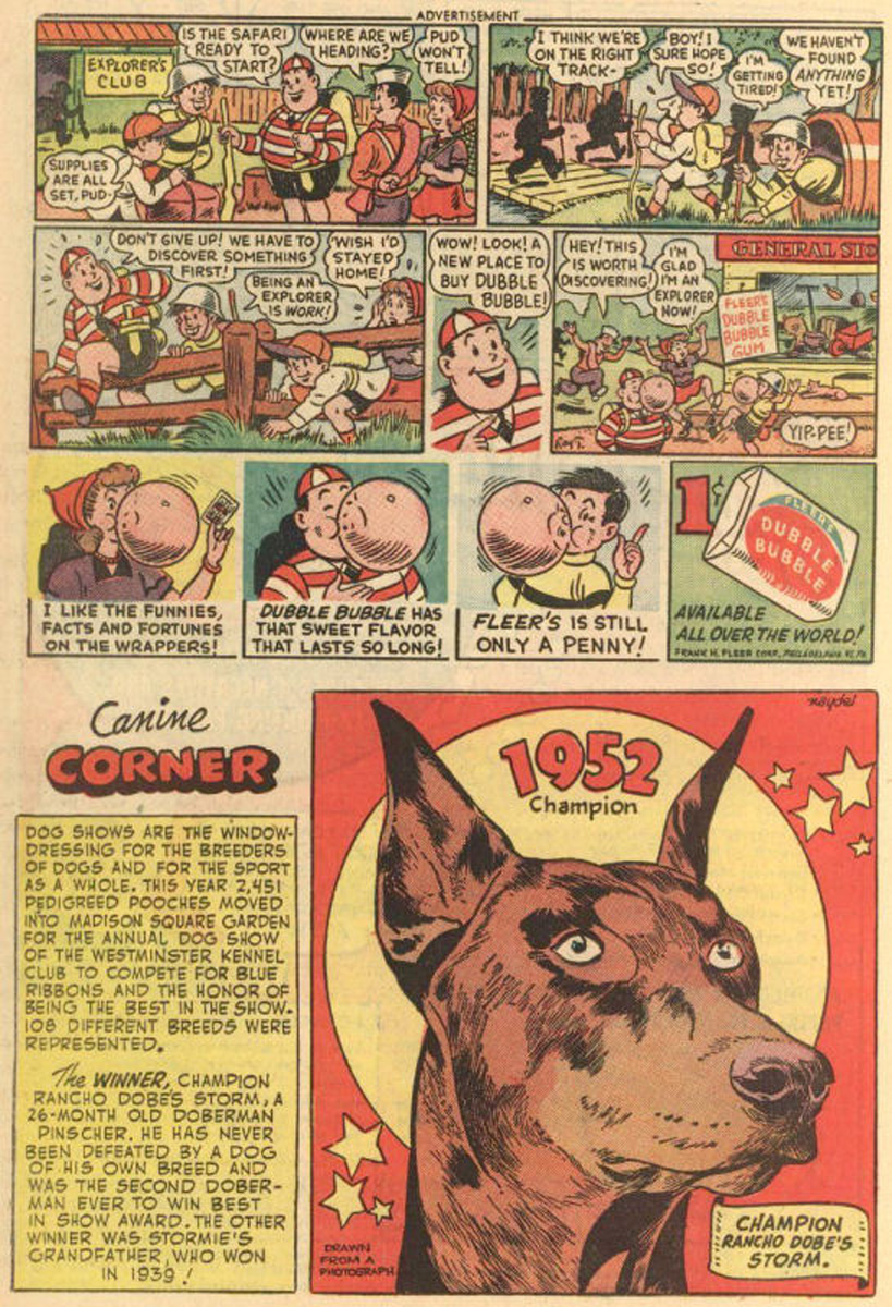 Read online The Adventures of Rex the Wonder Dog comic -  Issue #4 - 22