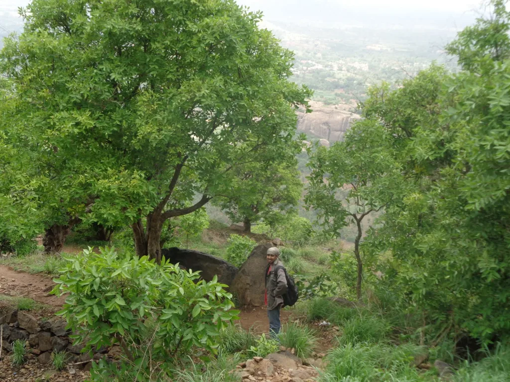 132) Kabbaldurga Trek Breaking (2/7/2016)