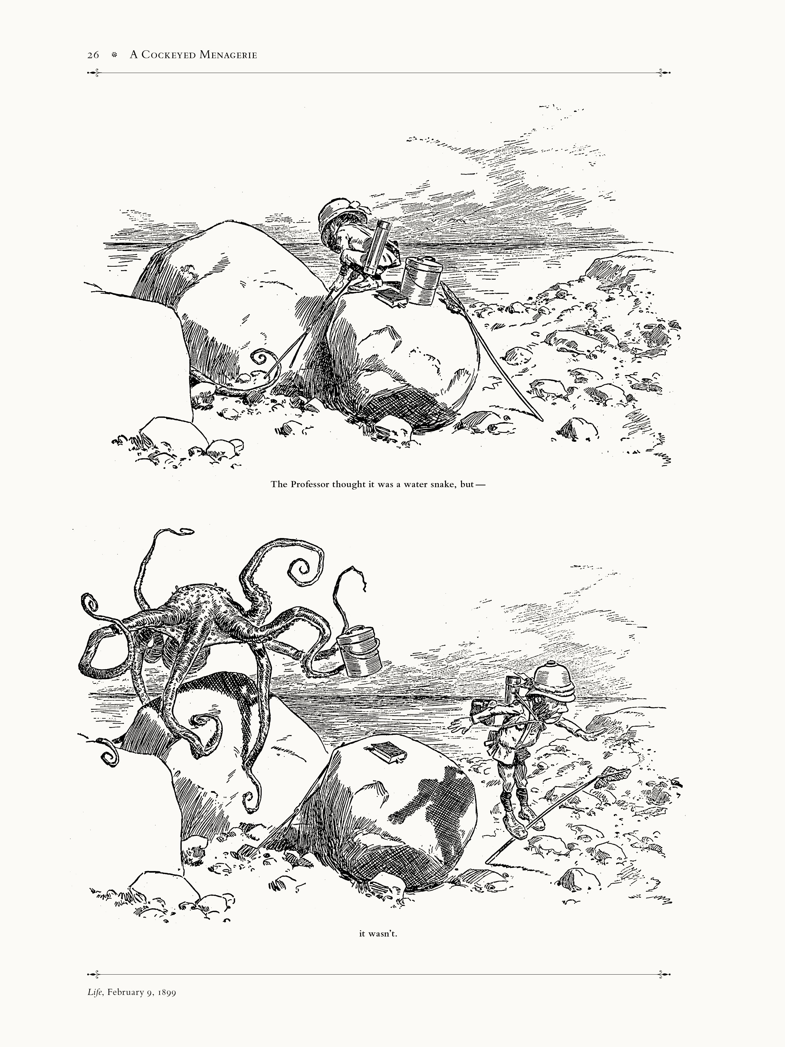 Read online A Cockeyed Menagerie: The Drawings of T.S. Sullivant comic -  Issue # TPB (Part 1) - 48