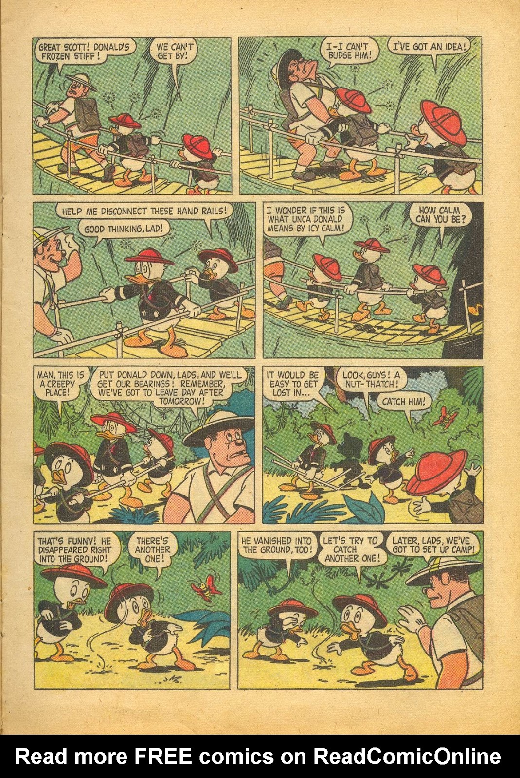 Walt Disney's Donald Duck (1952) issue 63 - Page 13