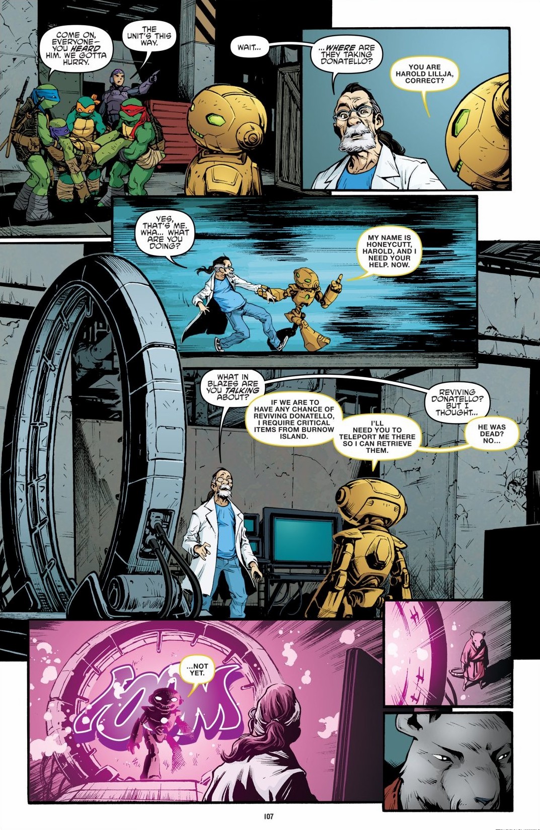 Read online Teenage Mutant Ninja Turtles: The IDW Collection comic -  Issue # TPB 6 (Part 2) - 6