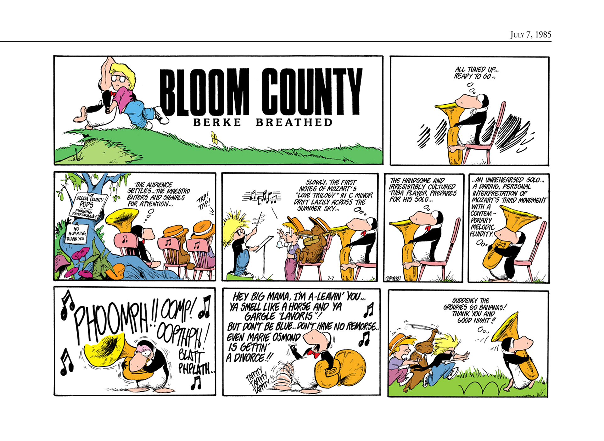 Read online The Bloom County Digital Library comic -  Issue # TPB 5 (Part 2) - 96