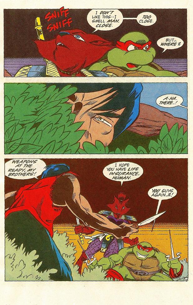 Read online Teenage Mutant Ninja Turtles Adventures (1989) comic -  Issue #31 - 19