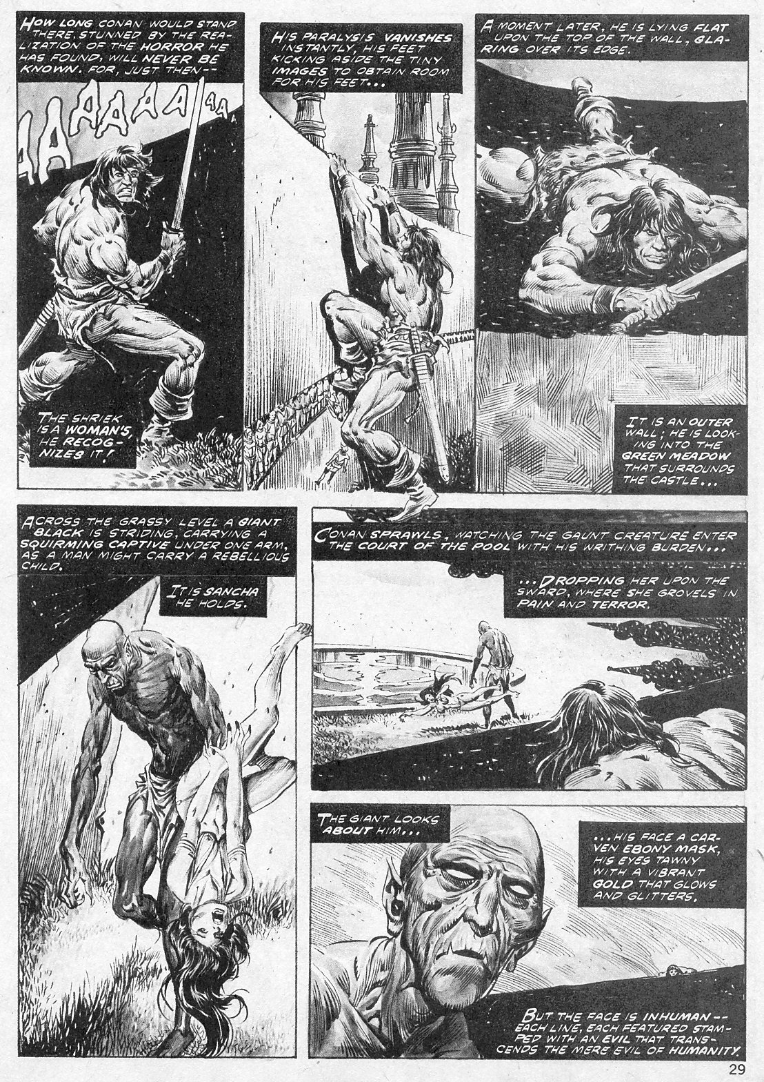 Read online The Savage Sword Of Conan comic -  Issue #22 - 29