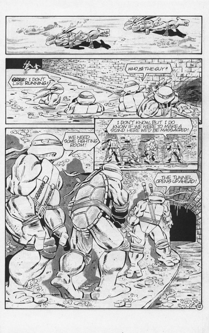 Tales of the Teenage Mutant Ninja Turtles issue 6 - Page 15