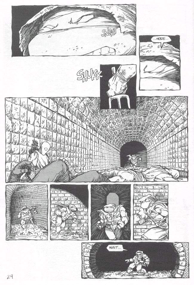 Read online Teenage Mutant Ninja Turtles (1984) comic -  Issue #19 - 30