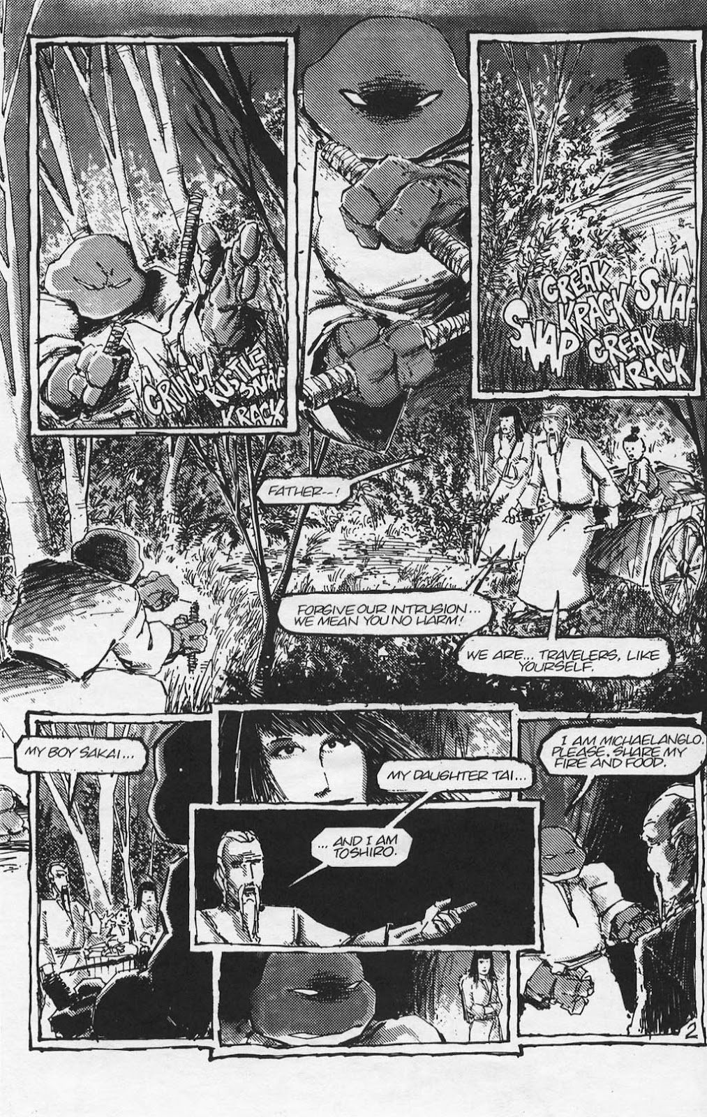 Teenage Mutant Ninja Turtles (1984) Issue #17 #17 - English 5