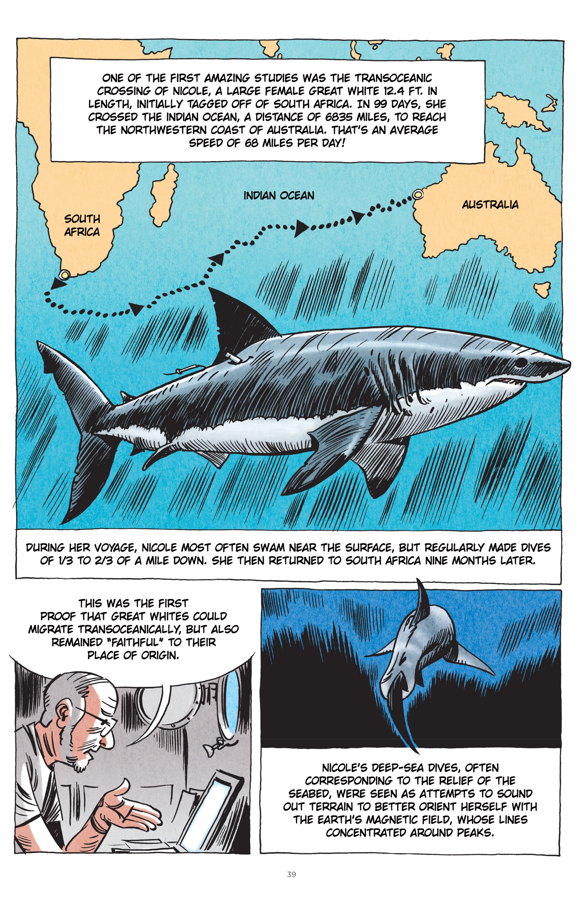 Read online Little Book of Knowledge: Sharks comic -  Issue # TPB - 39