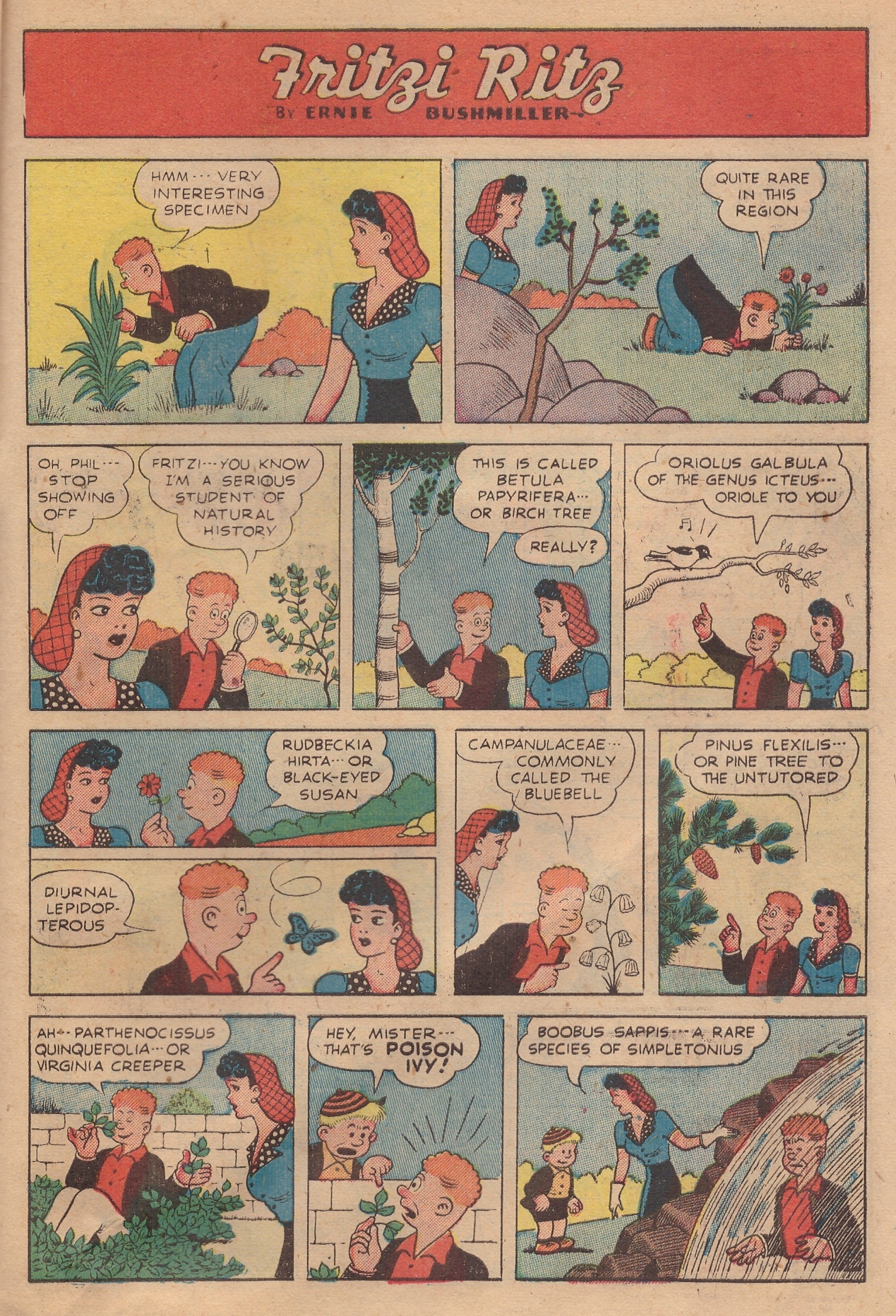 Read online United Comics comic -  Issue #16 - 27