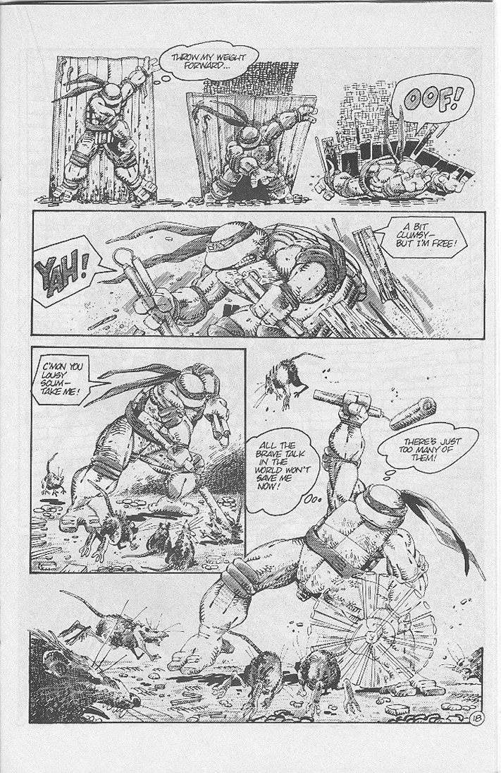 Read online Tales of the Teenage Mutant Ninja Turtles comic -  Issue #4 - 21