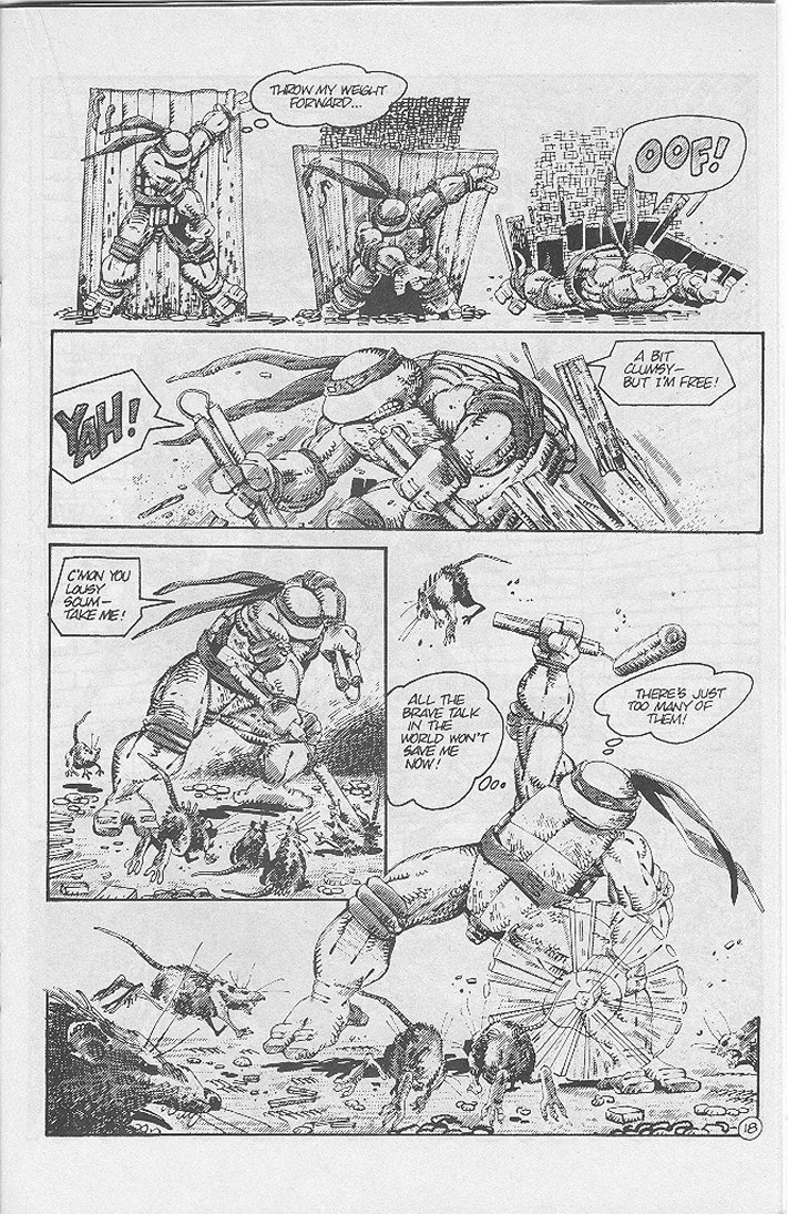 Tales of the Teenage Mutant Ninja Turtles issue 4 - Page 21
