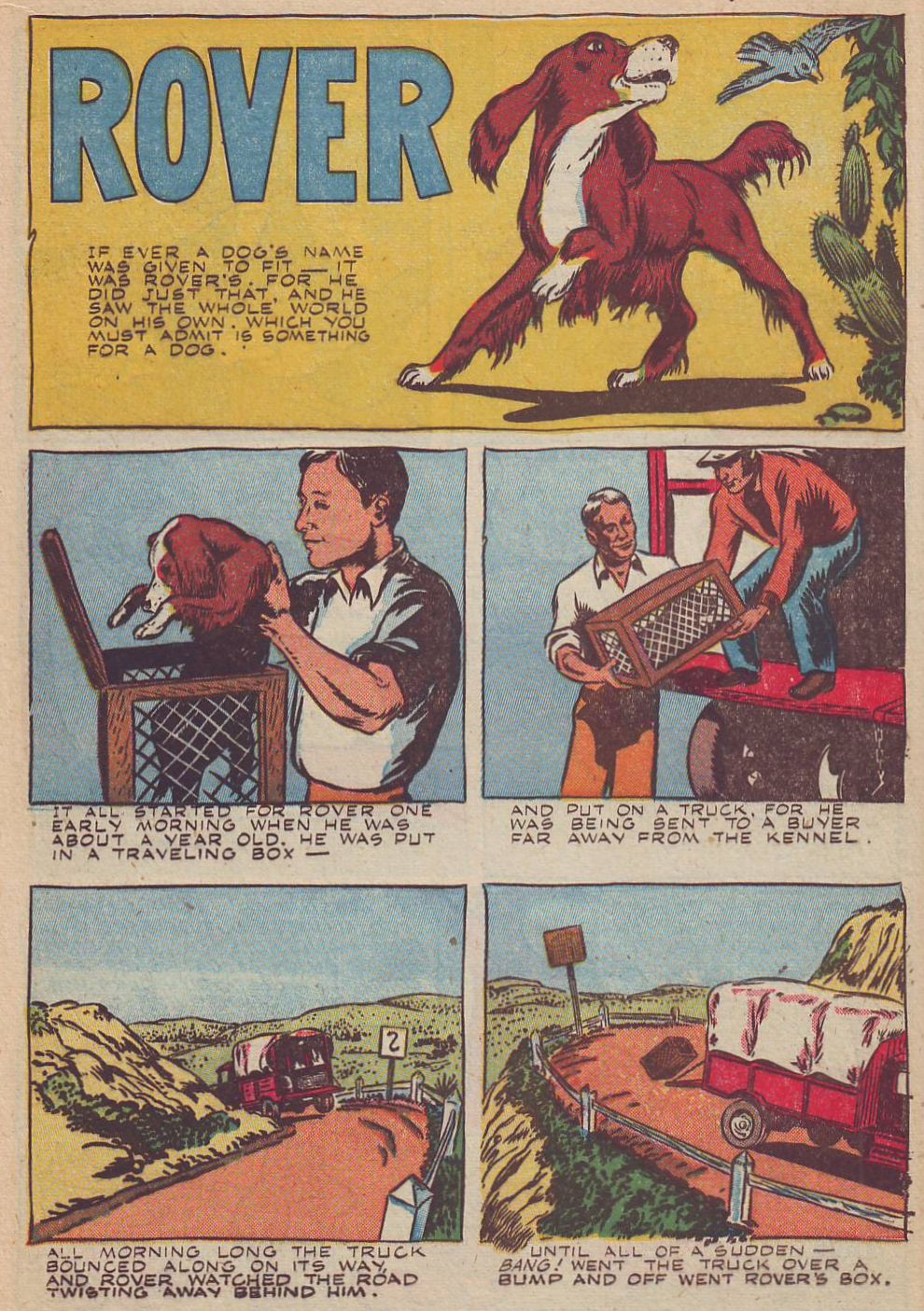 Read online Animal Comics comic -  Issue #20 - 22