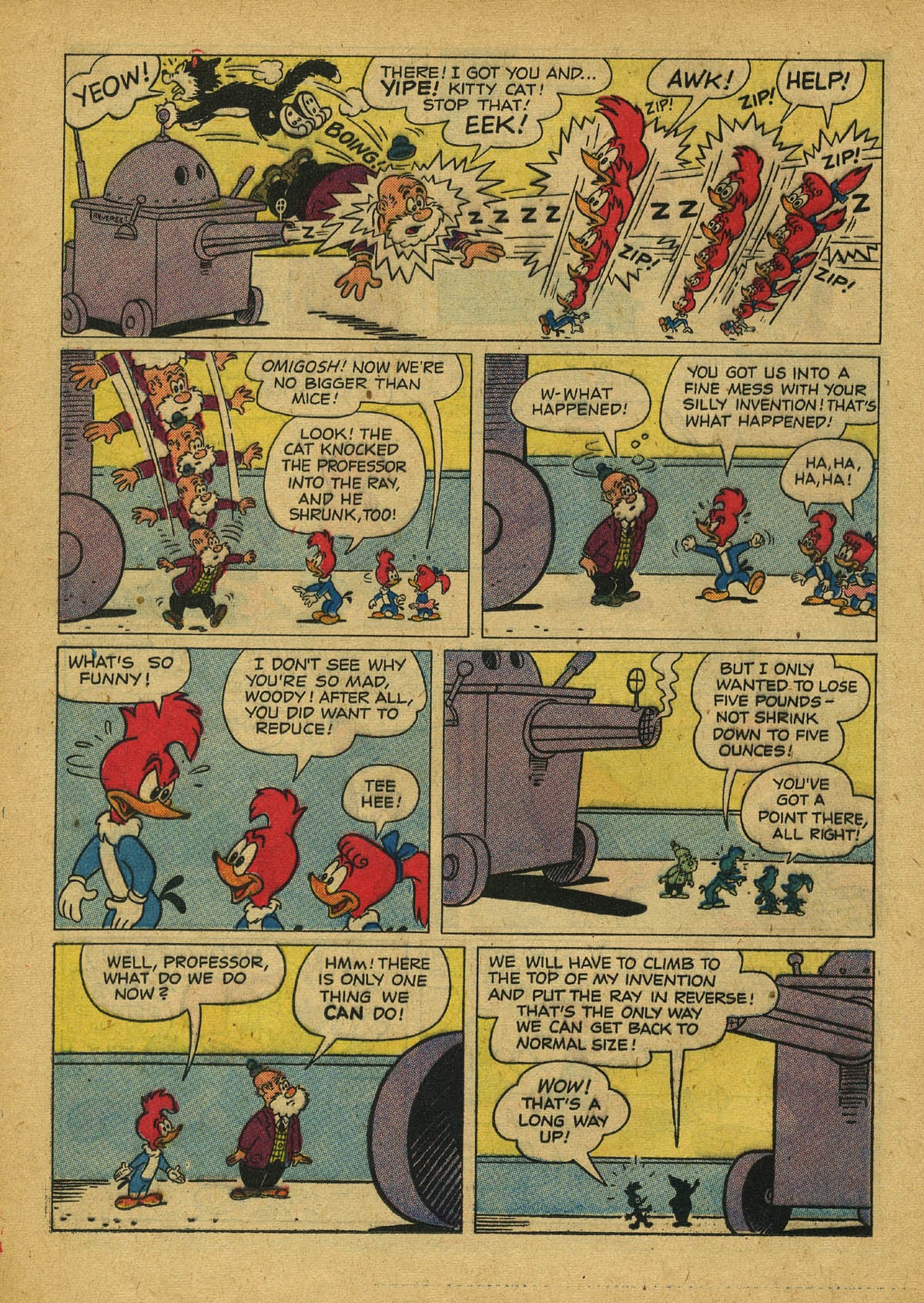 Read online Walter Lantz Woody Woodpecker (1952) comic -  Issue #45 - 12