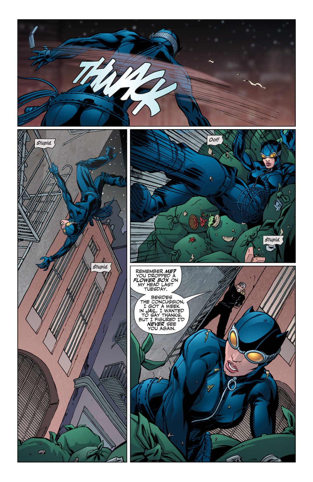 Read online Catwoman (2002) comic -  Issue #55 - 20