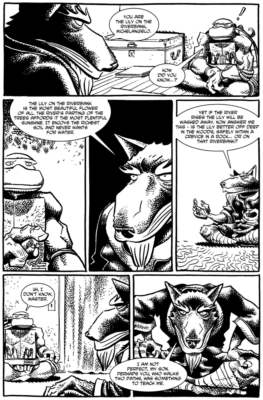 Tales of the TMNT issue 9 - Page 33
