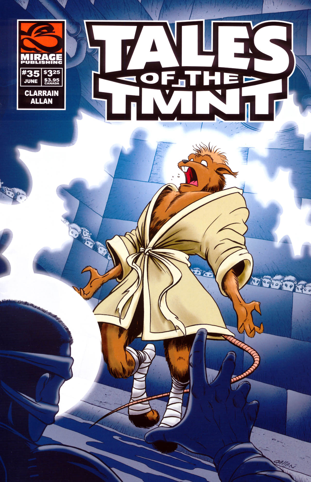 Read online Tales of the TMNT comic -  Issue #35 - 1