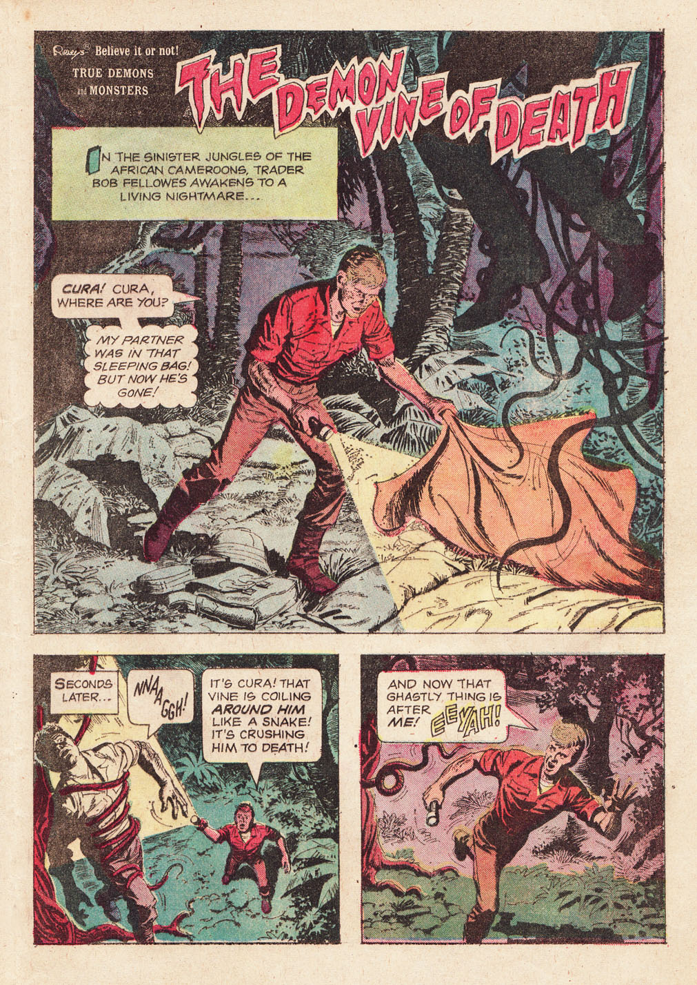 Read online Ripley's Believe it or Not! (1965) comic -  Issue #22 - 21