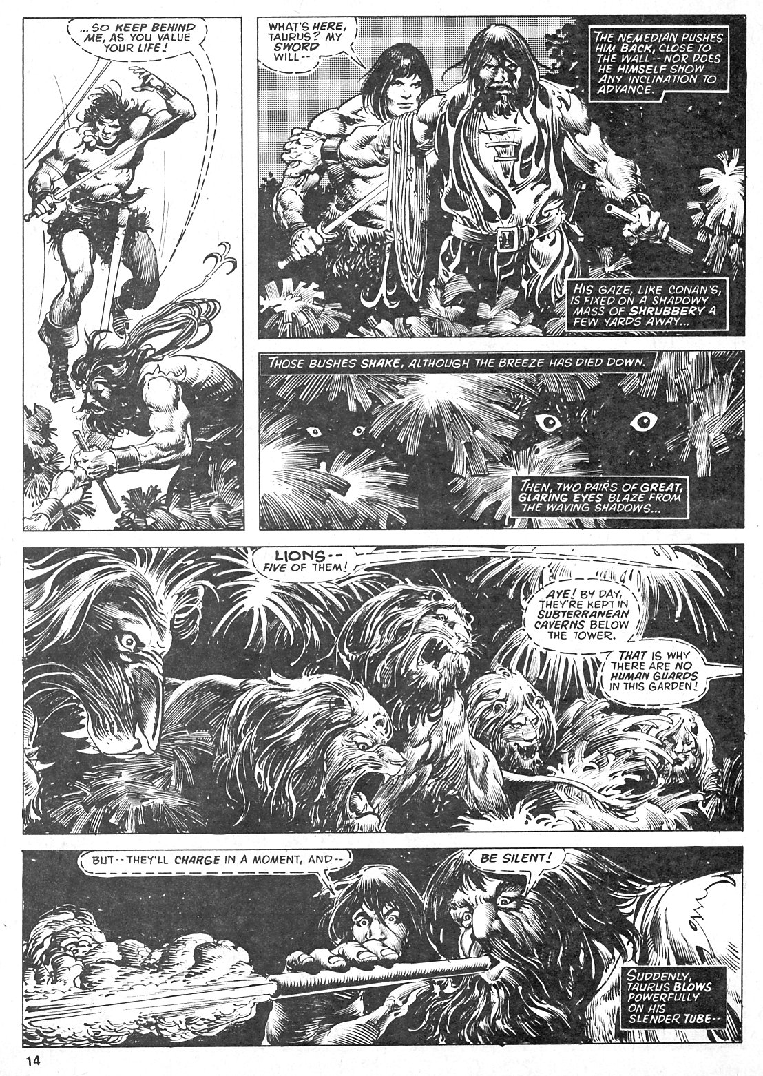 Read online The Savage Sword Of Conan comic -  Issue #24 - 14