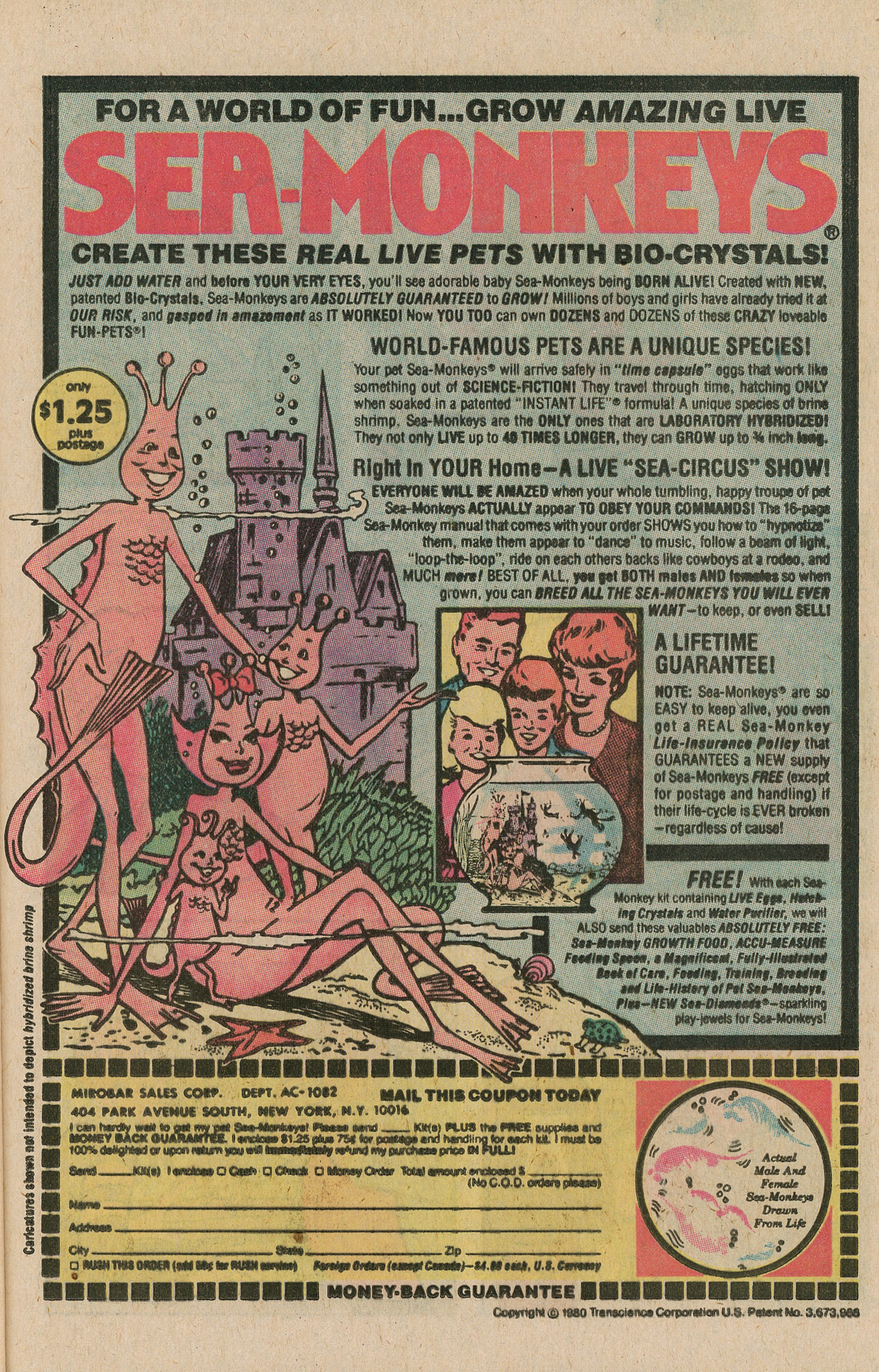 Read online Archie and Me comic -  Issue #136 - 25