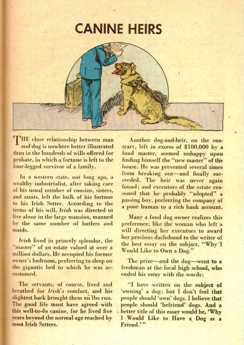 Read online The Adventures of Rex the Wonder Dog comic -  Issue #31 - 23