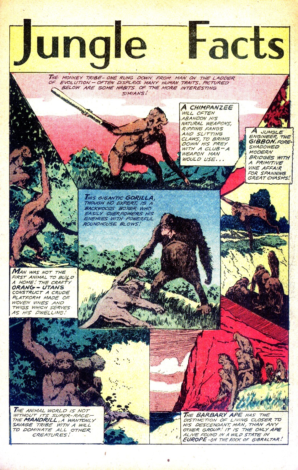 Read online Jungle Comics comic -  Issue #112 - 33