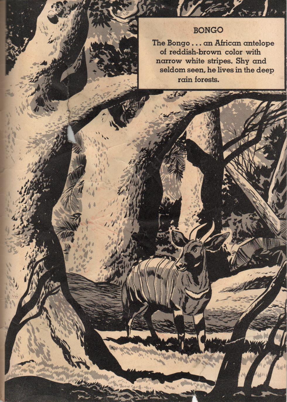Read online Tarzan (1948) comic -  Issue #92 - 35
