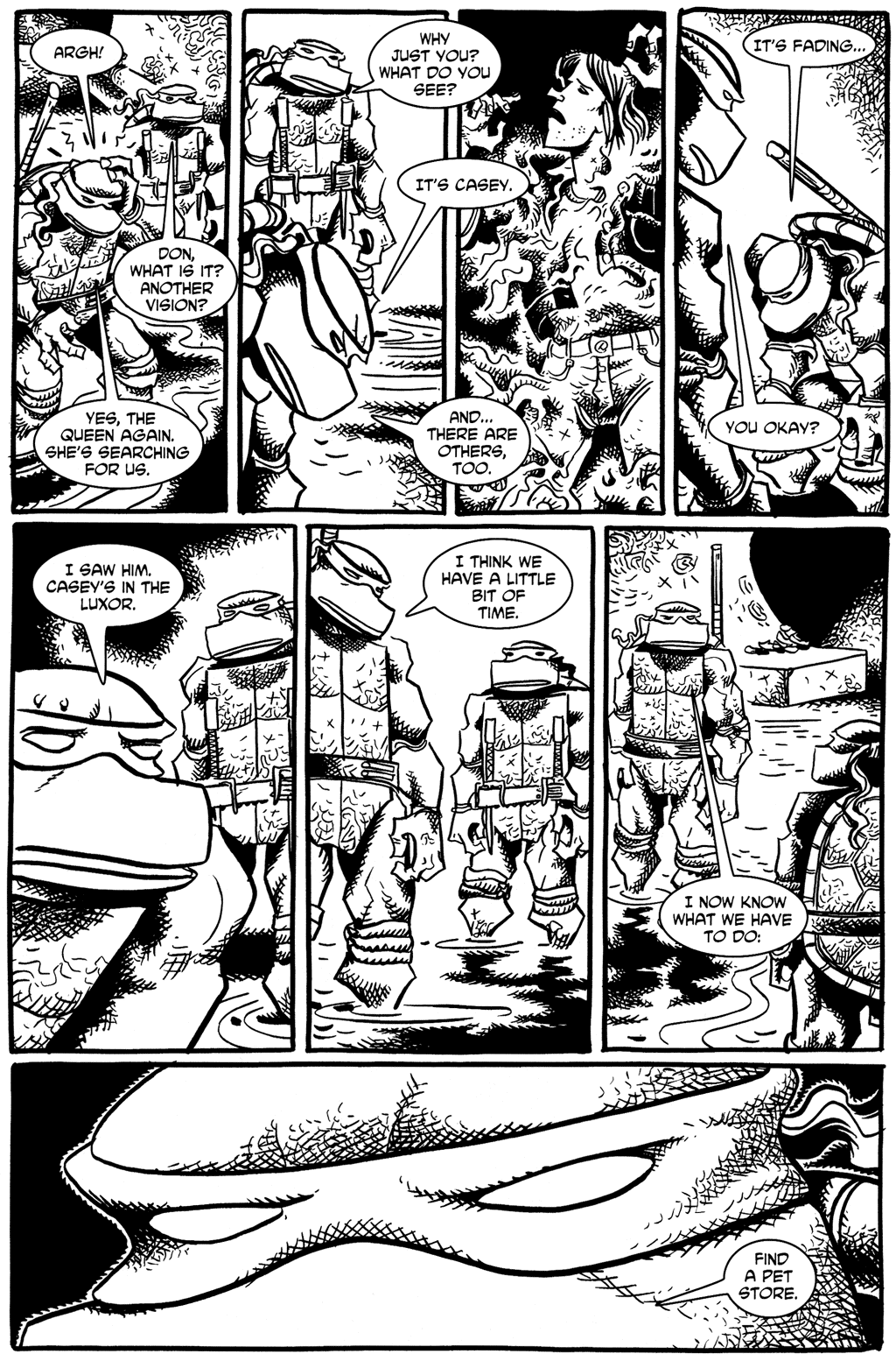 Tales of the TMNT issue 17 - Page 23
