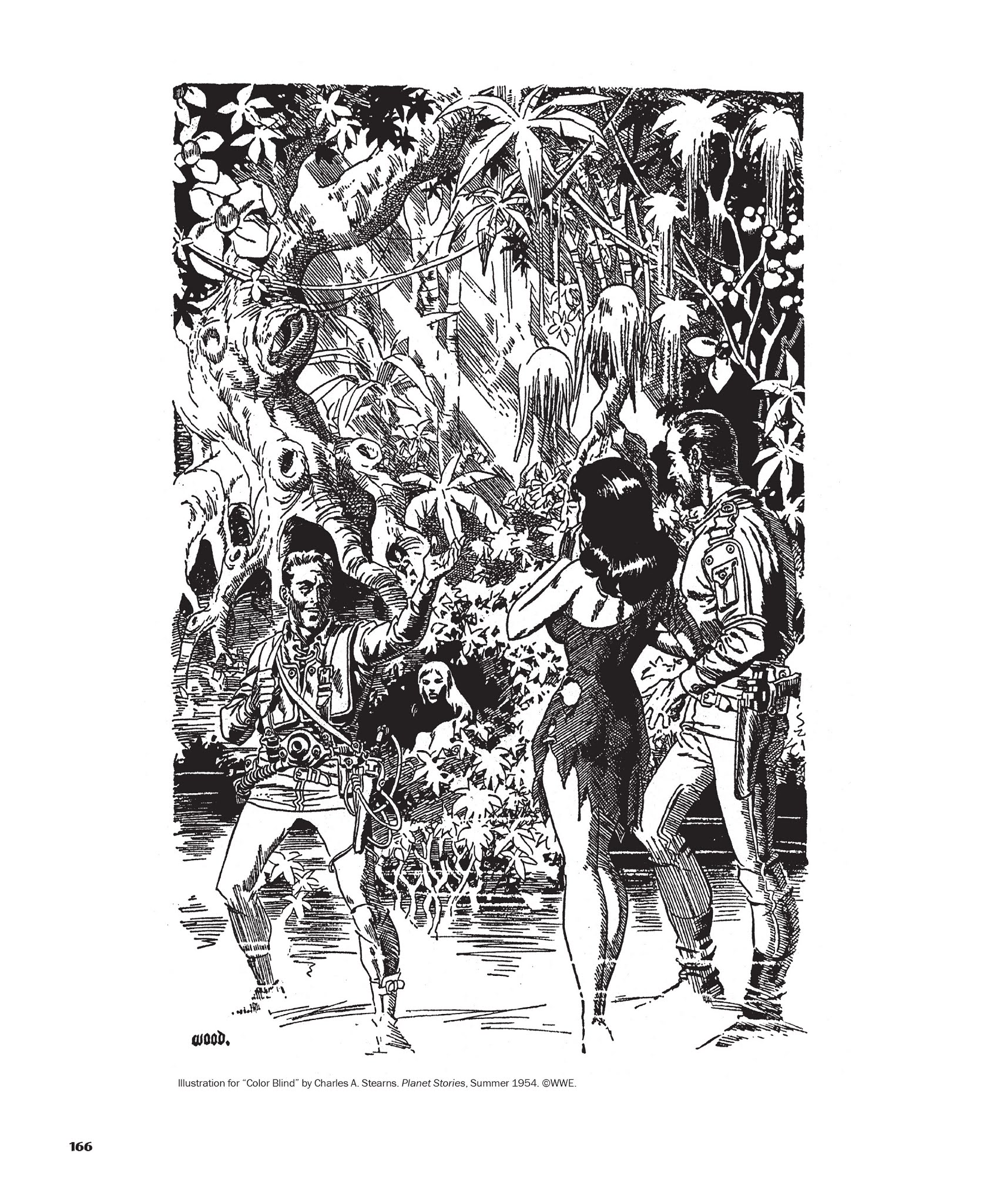 Read online The Life and Legend of Wallace Wood comic -  Issue # TPB 1 - 165