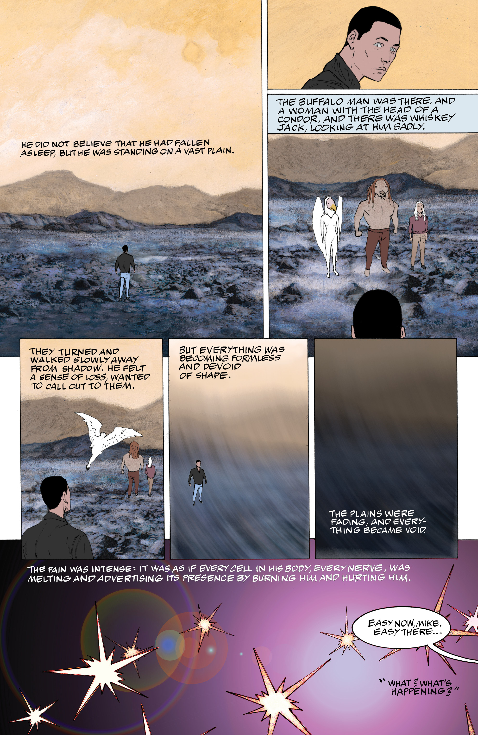 Read online American Gods: The Moment of the Storm comic -  Issue #8 - 12