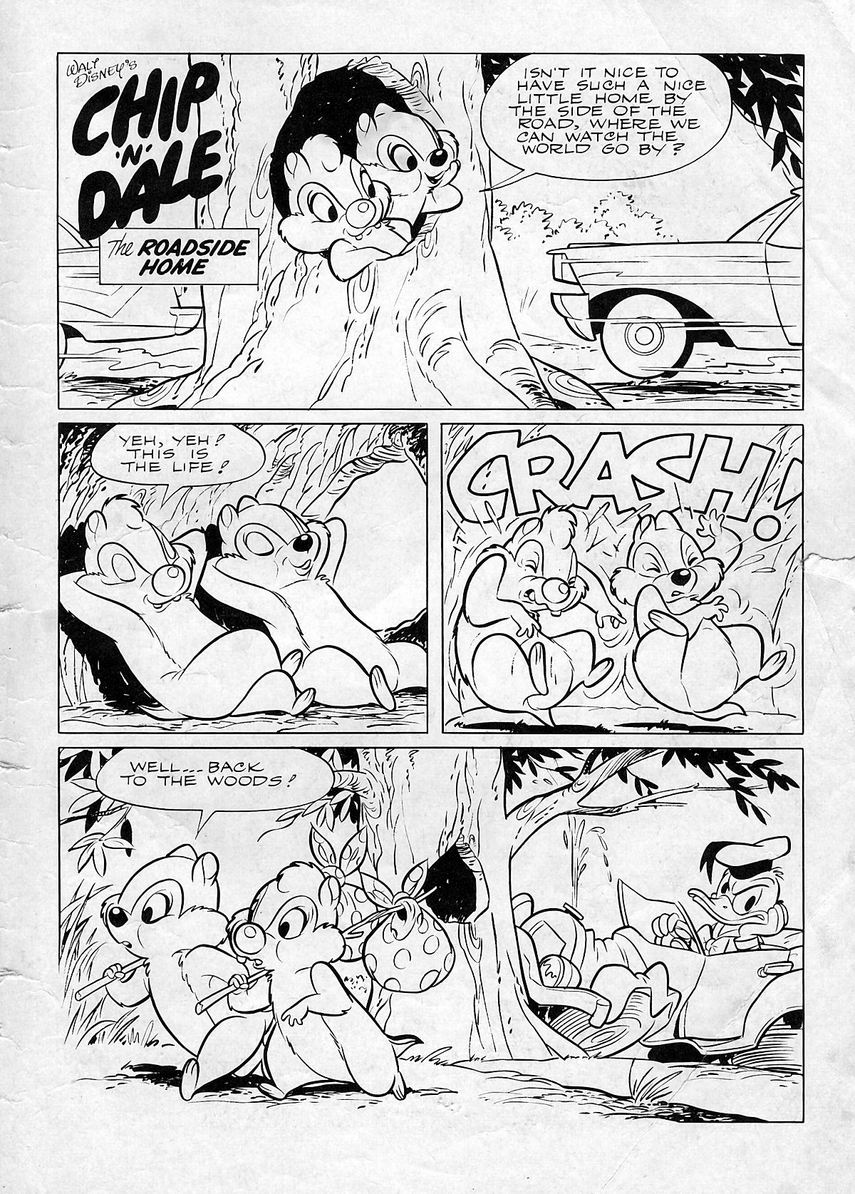 Read online Walt Disney's Chip 'N' Dale comic -  Issue #23 - 35