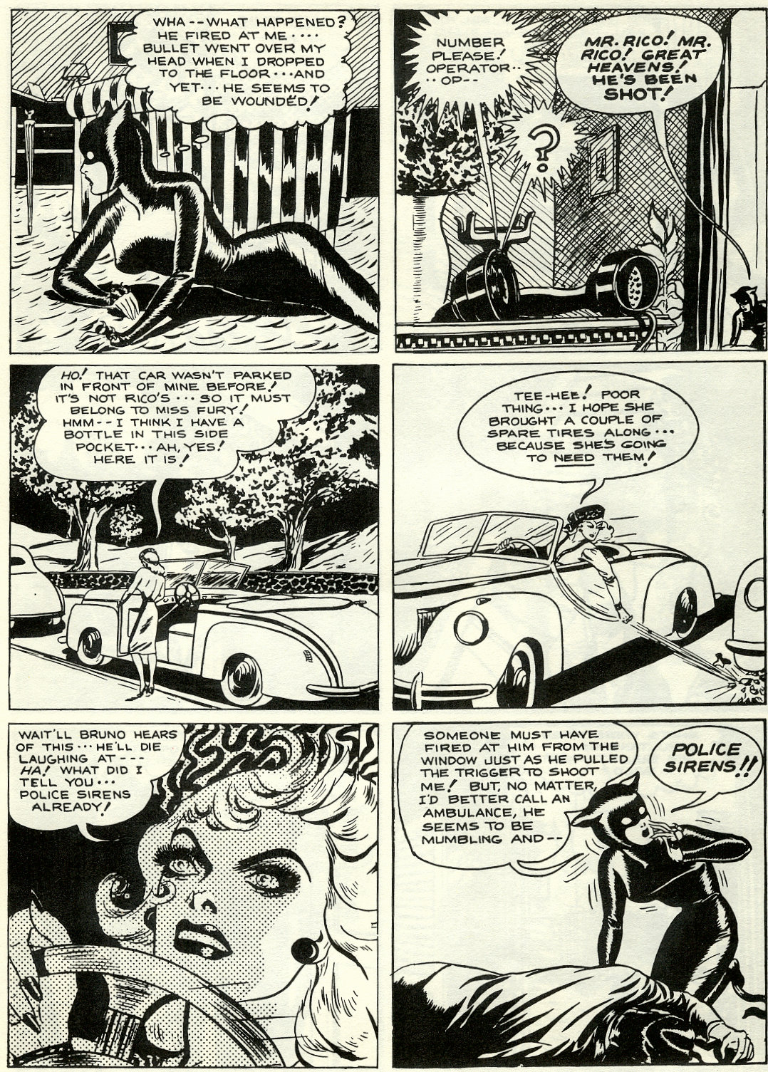 Miss Fury (1979) issue Full - Page 22
