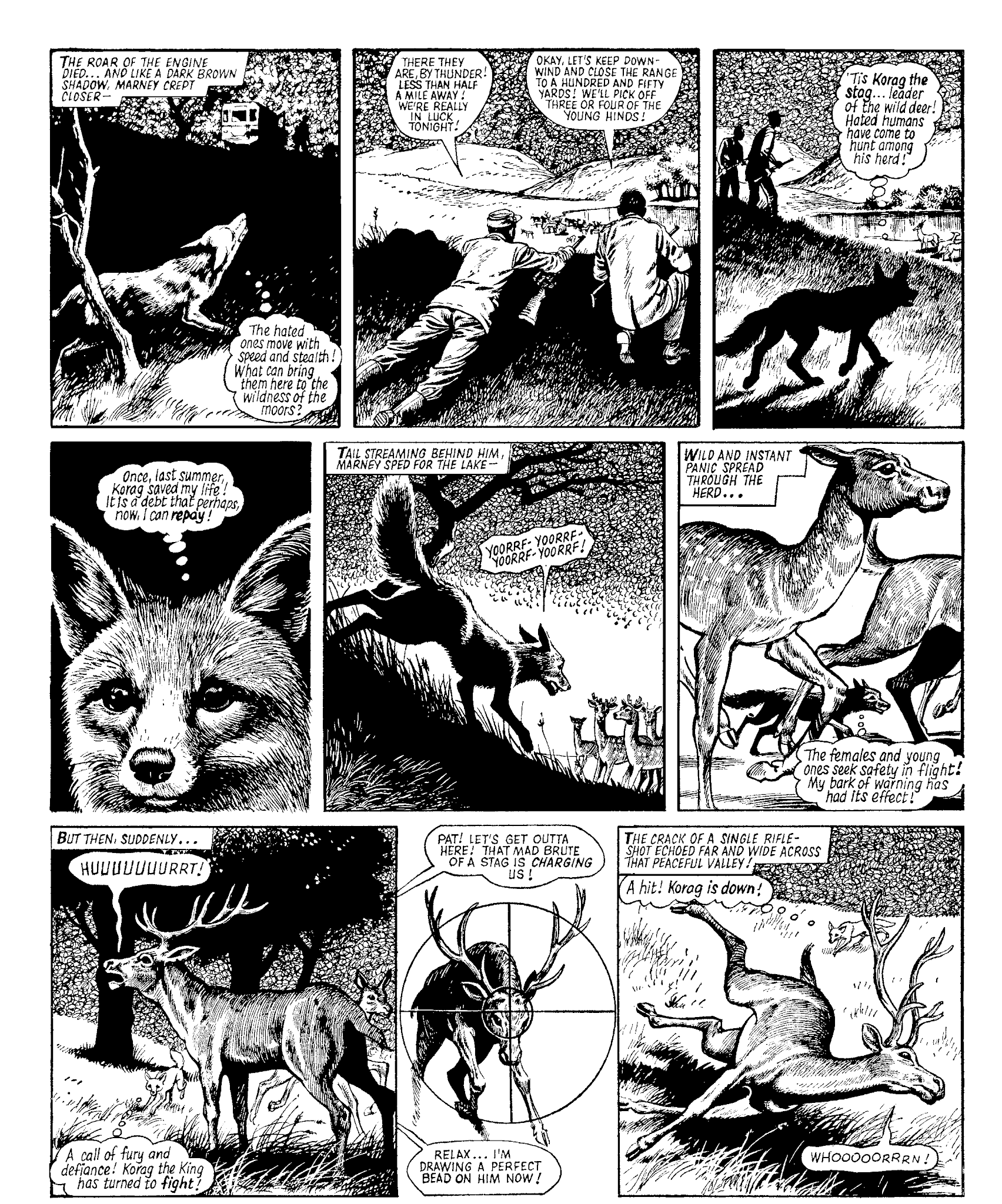 Read online Marney the Fox comic -  Issue # TPB (Part 2) - 5