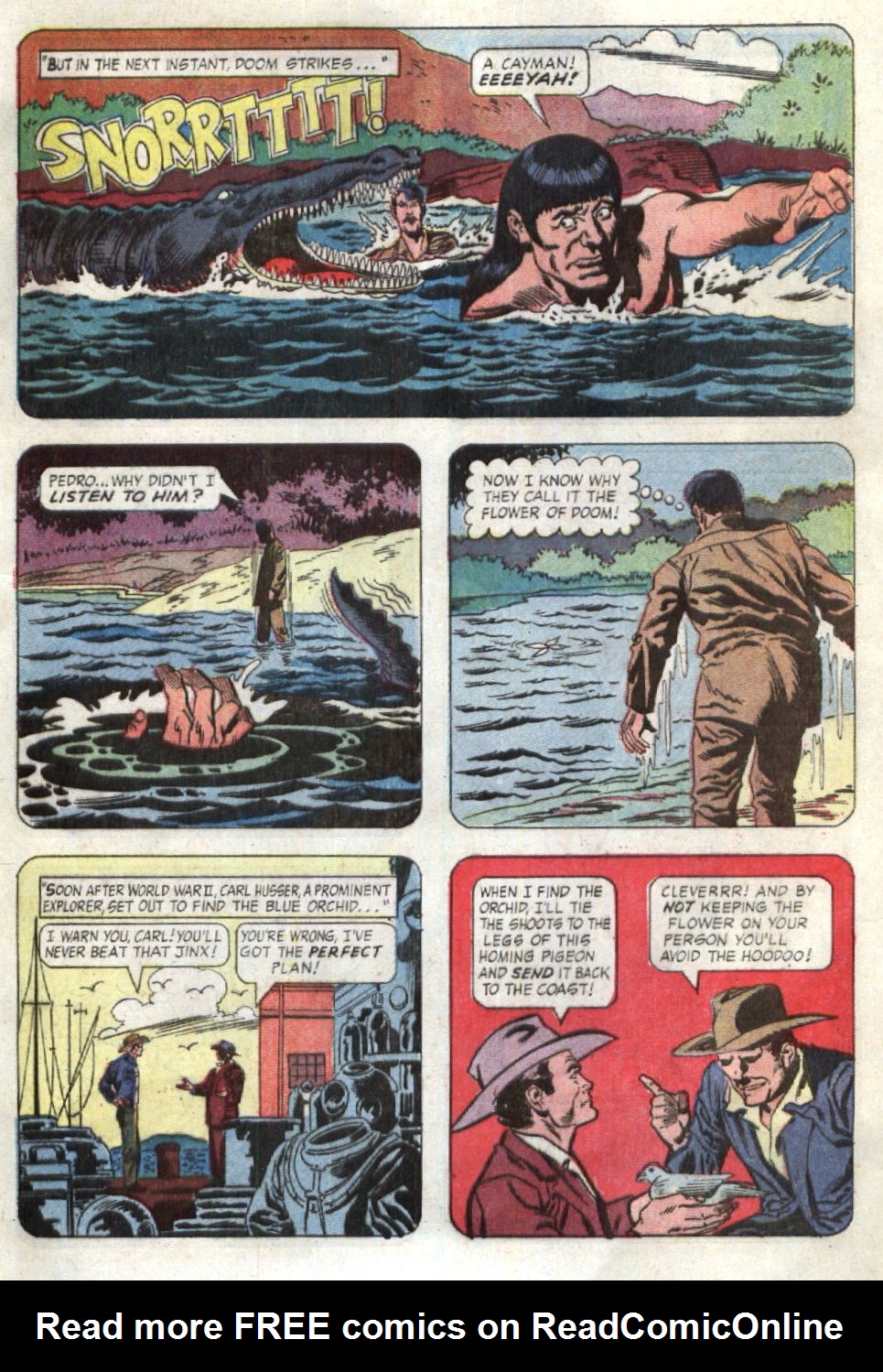 Read online Ripley's Believe it or Not! (1965) comic -  Issue #17 - 9