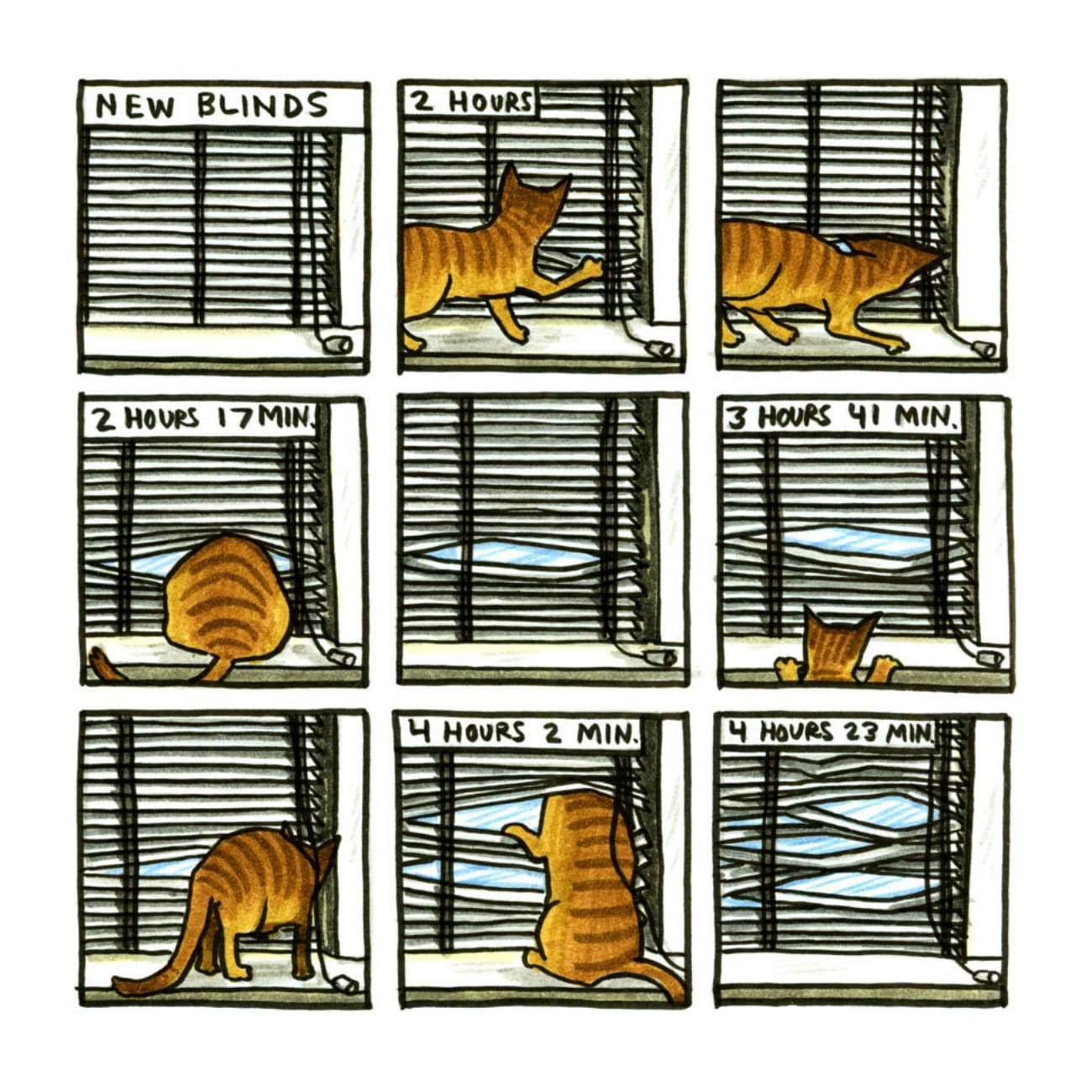 Read online Cats are Weird and More Observations comic -  Issue # TPB - 55