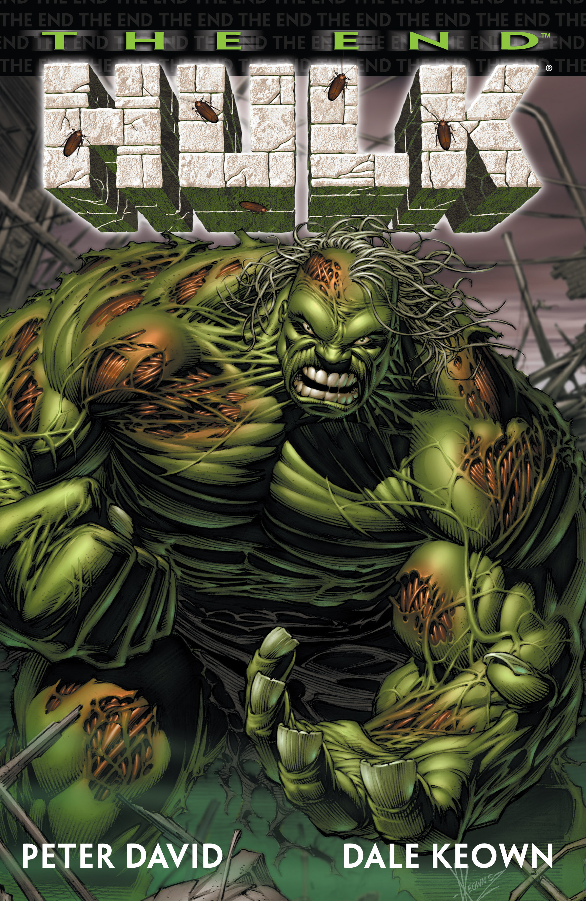 Read online Incredible Hulk: The End comic -  Issue # TPB - 1