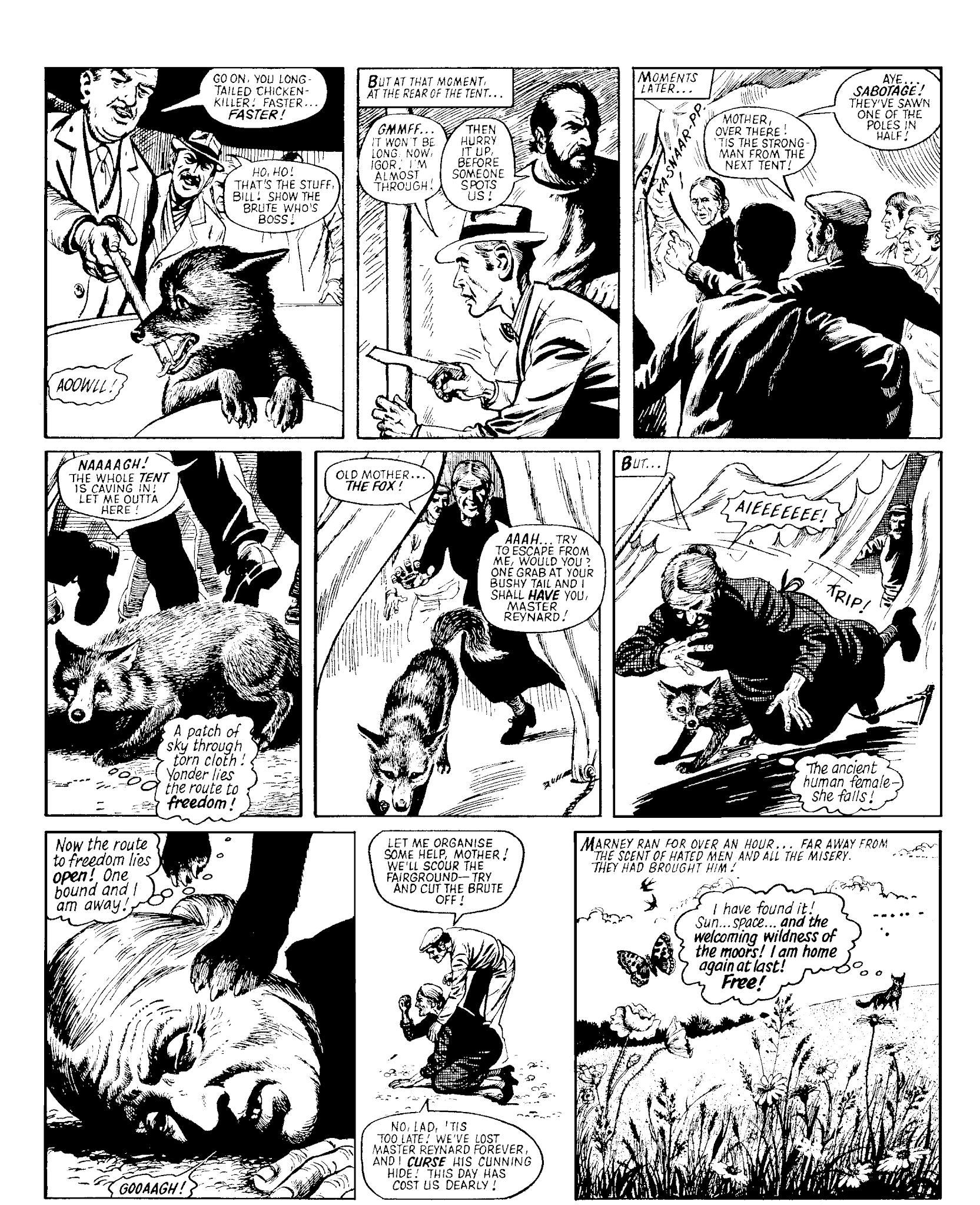 Read online Marney the Fox comic -  Issue # TPB (Part 2) - 3