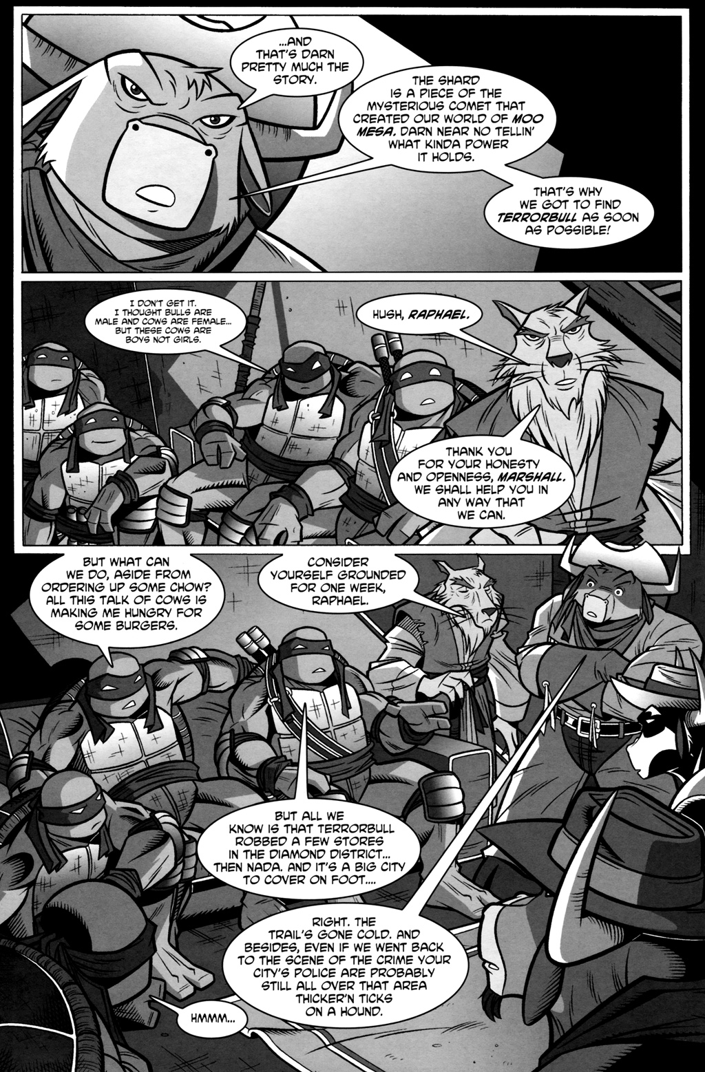 Read online Tales of the TMNT comic -  Issue #21 - 16