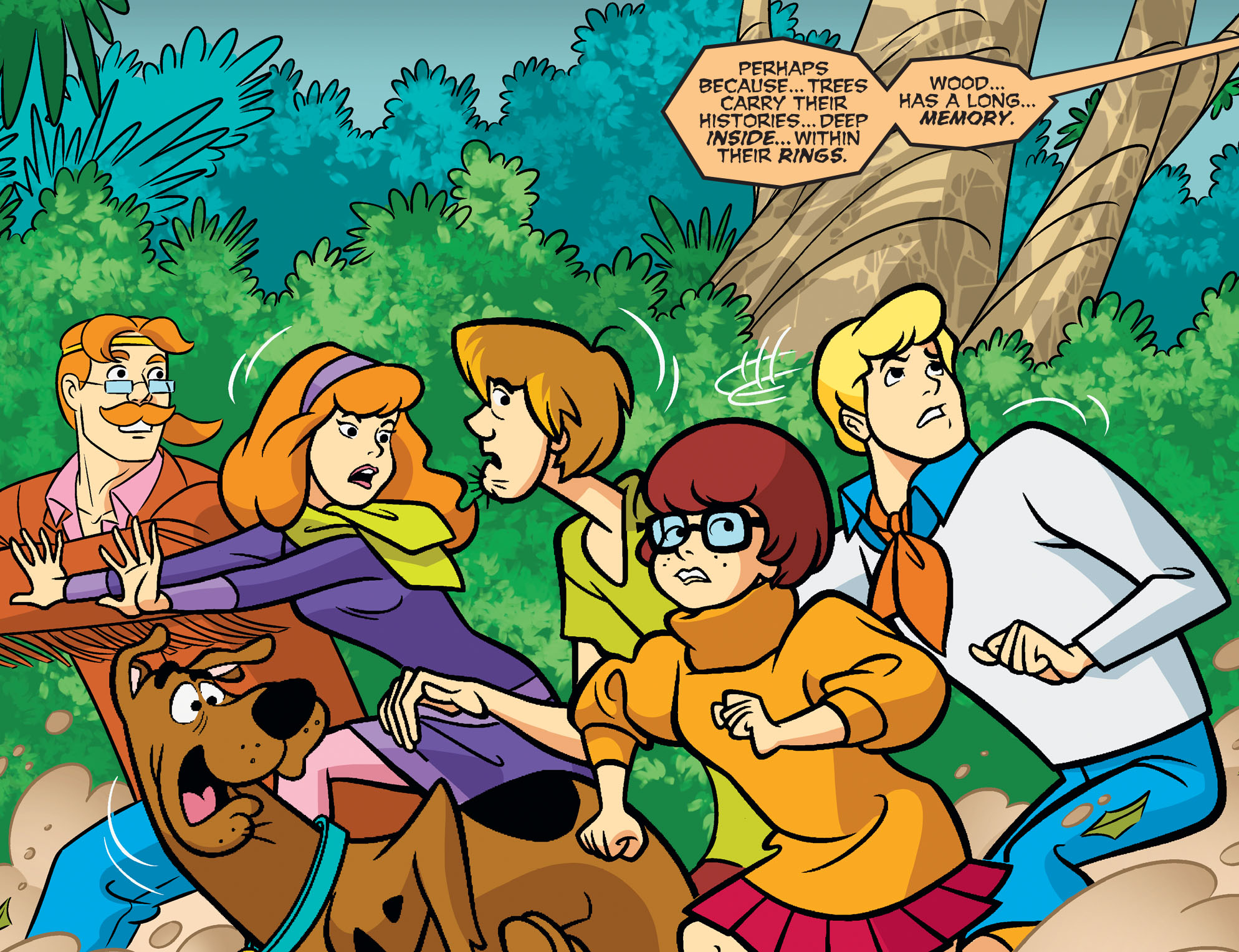 Read online Scooby-Doo! Team-Up comic -  Issue #80 - 5