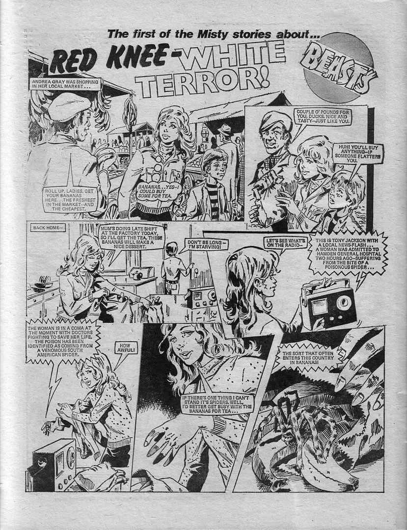 Read online Misty comic -  Issue #1 - 28