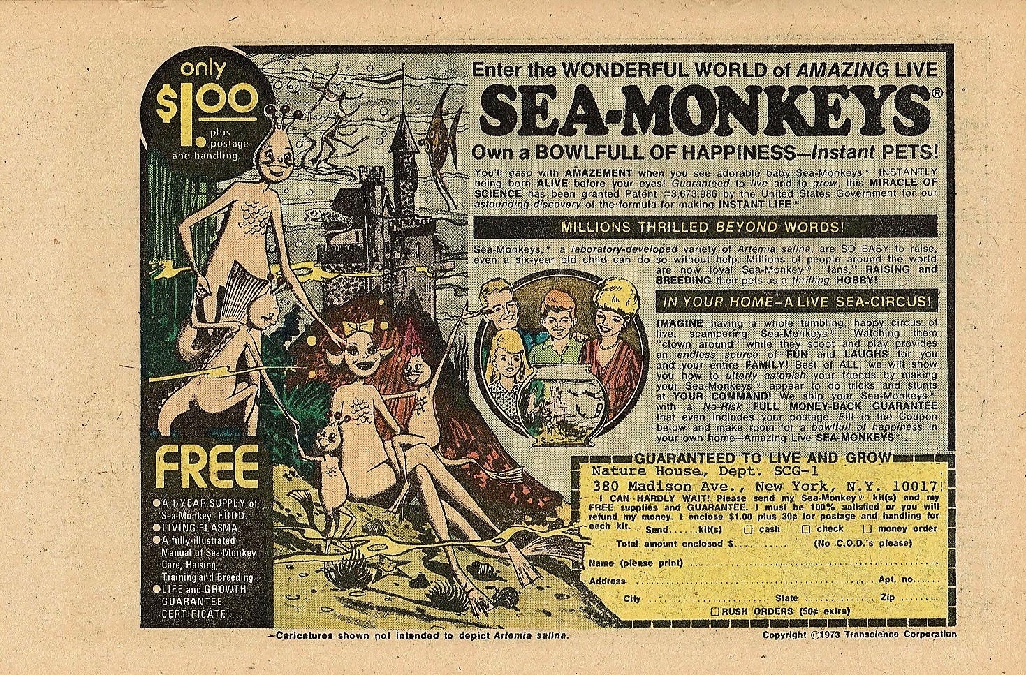 Read online The Brute comic -  Issue #1 - 15