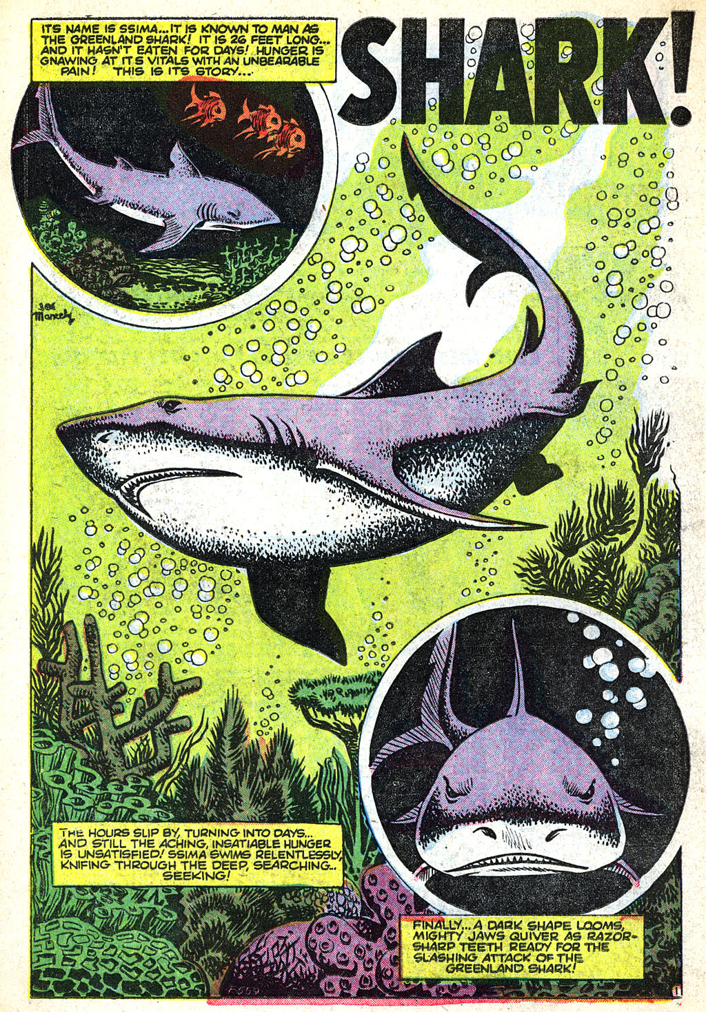 Read online Sub-Mariner Comics comic -  Issue #38 - 19