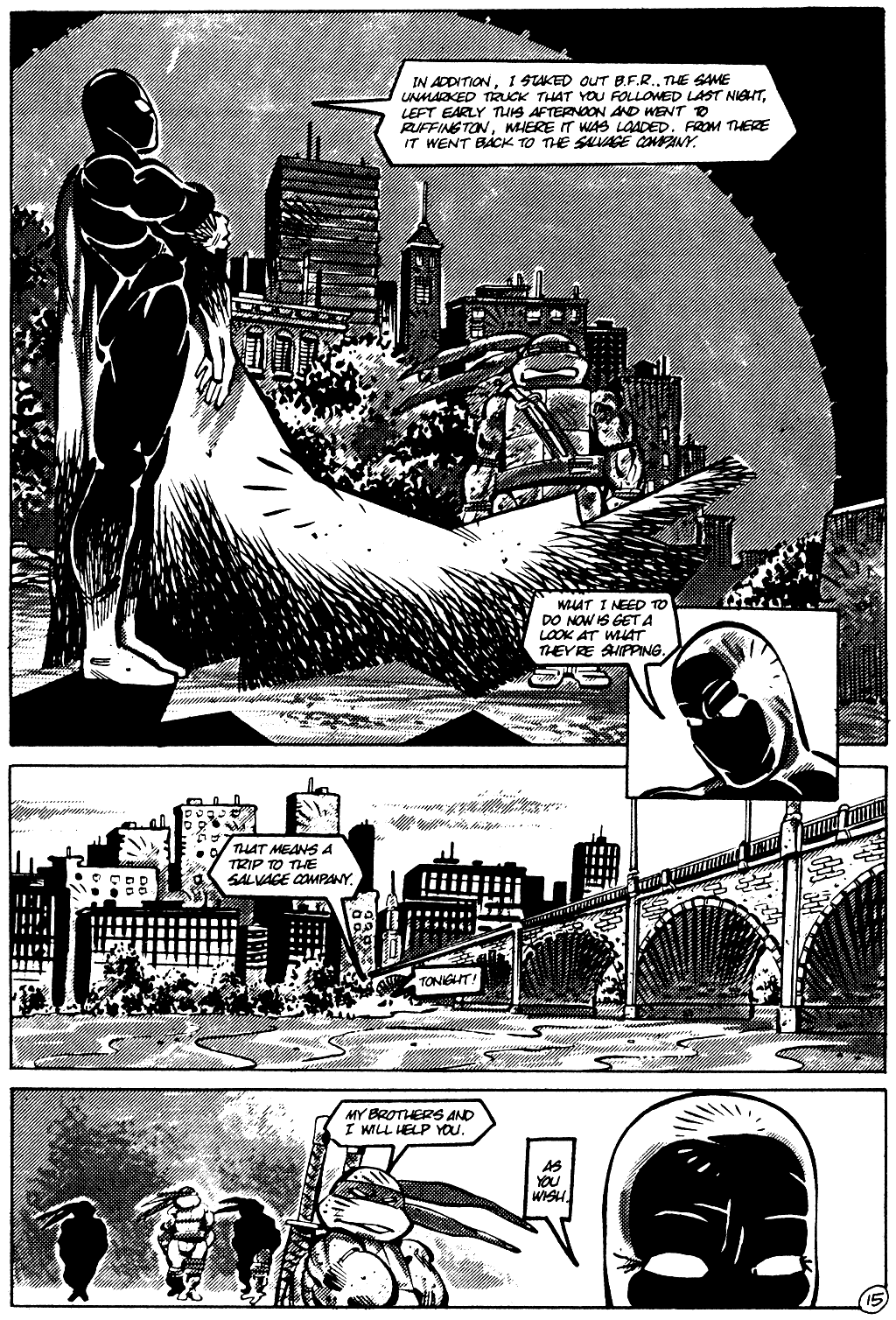 Tales of the Teenage Mutant Ninja Turtles issue 2 - Page 18