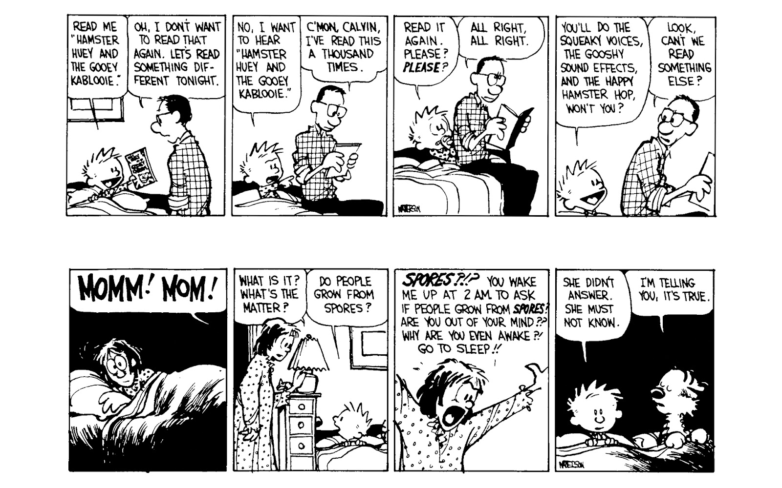 Calvin and Hobbes issue 5 - Page 19