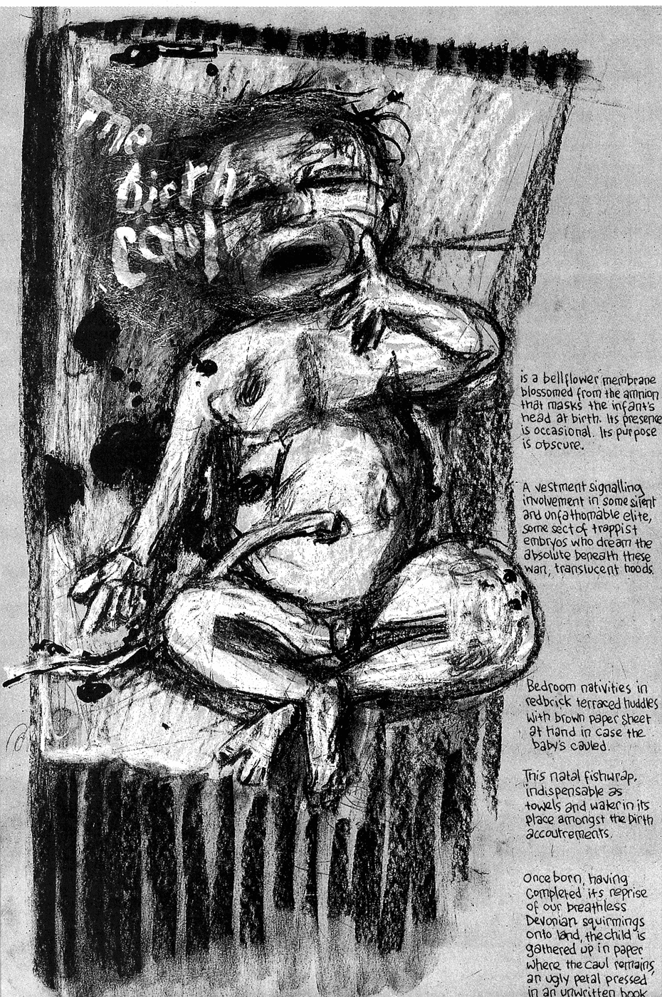 Read online The Birth Caul comic -  Issue # Full - 12