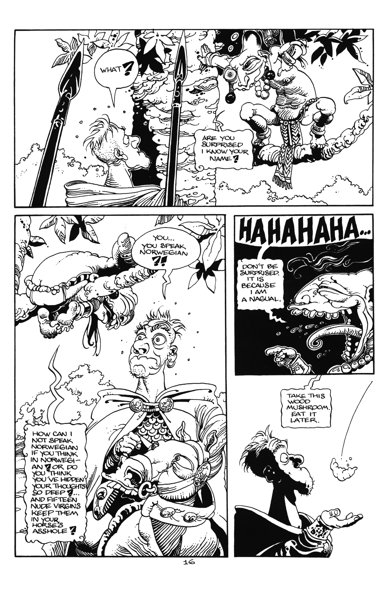 Read online Skaggy the Lost comic -  Issue #2 - 17