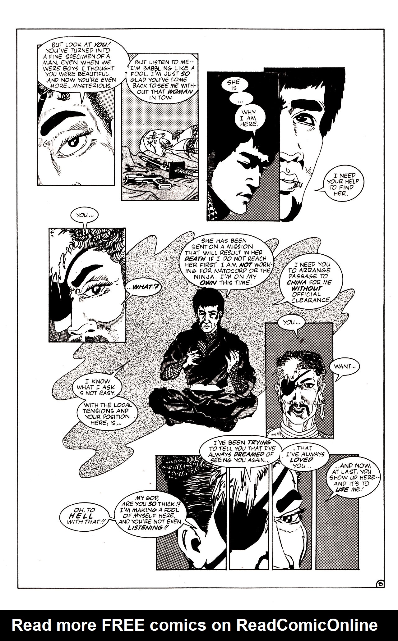 Read online Ninja Funnies comic -  Issue #2 - 18